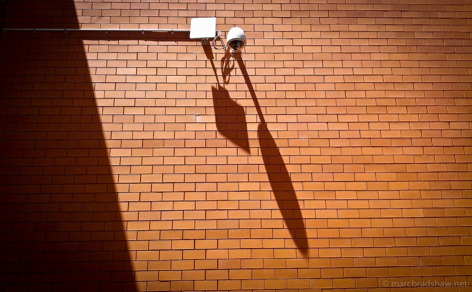 Just a few random shots