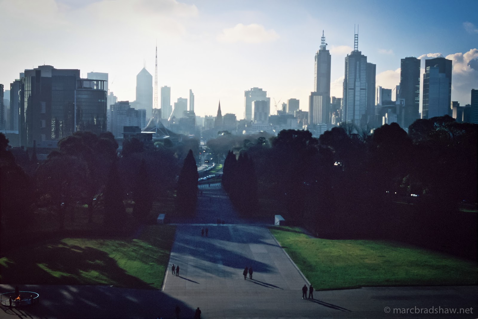 Silver and Cellulose